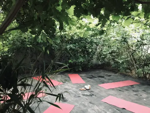 photo from bamboo garden and yoga studio