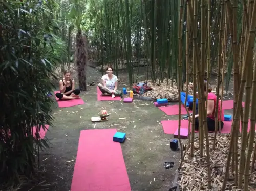 fotografie z bambusové zahrady a jógového studia